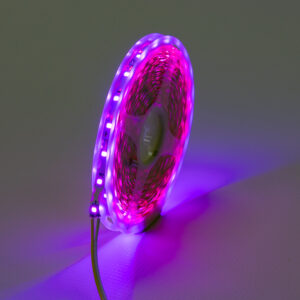 2835 S Type 12V 60led/m 8W/m Purple WP